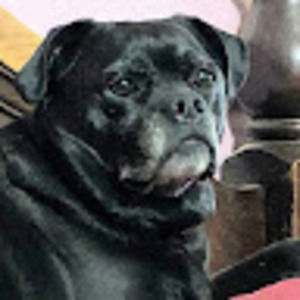 Meet your Posher, Christy